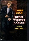 Rebel Without A Cause (1955)4.jpg